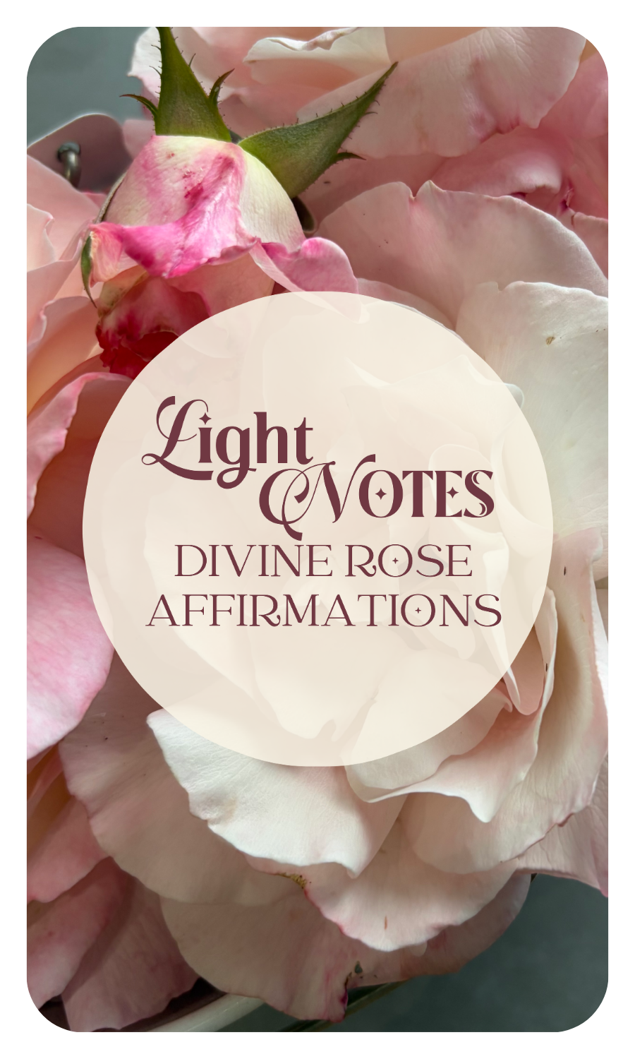 The Rosewater Ritual Set