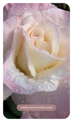 The Rosewater Ritual Set