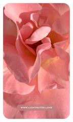 The Rosewater Ritual Set